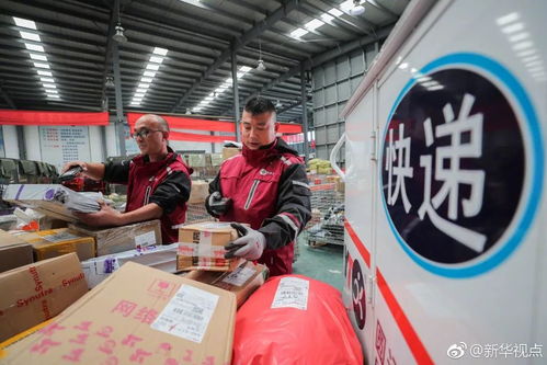 雙11成都消費(fèi)者最?lèi)?ài)買(mǎi)什么 成都 海淘 為啥便宜 收貨還快